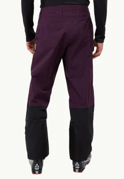 Jack Wolfskin Esquí|Pantalons De Randonnée-Alpspitze Tour 3l Pants M midnight plum