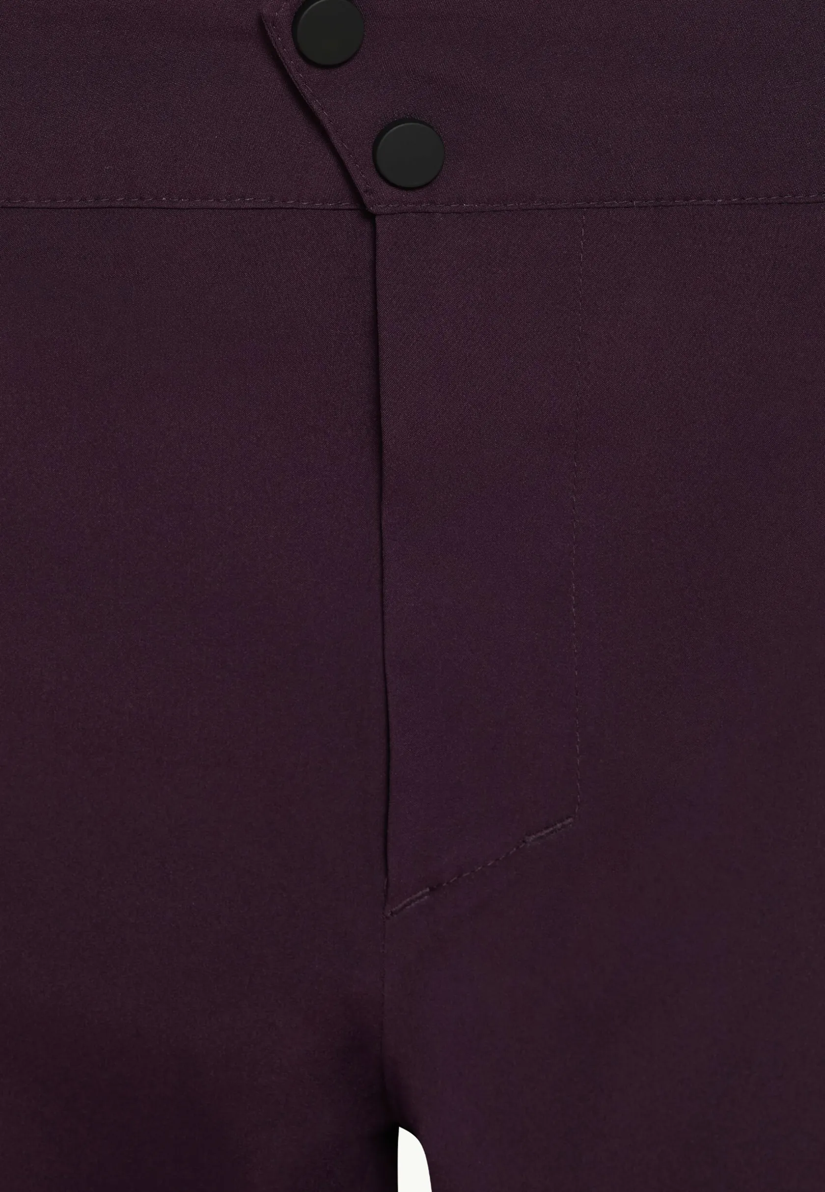 Jack Wolfskin Esquí|Pantalons De Randonnée-Alpspitze Tour 3l Pants M midnight plum