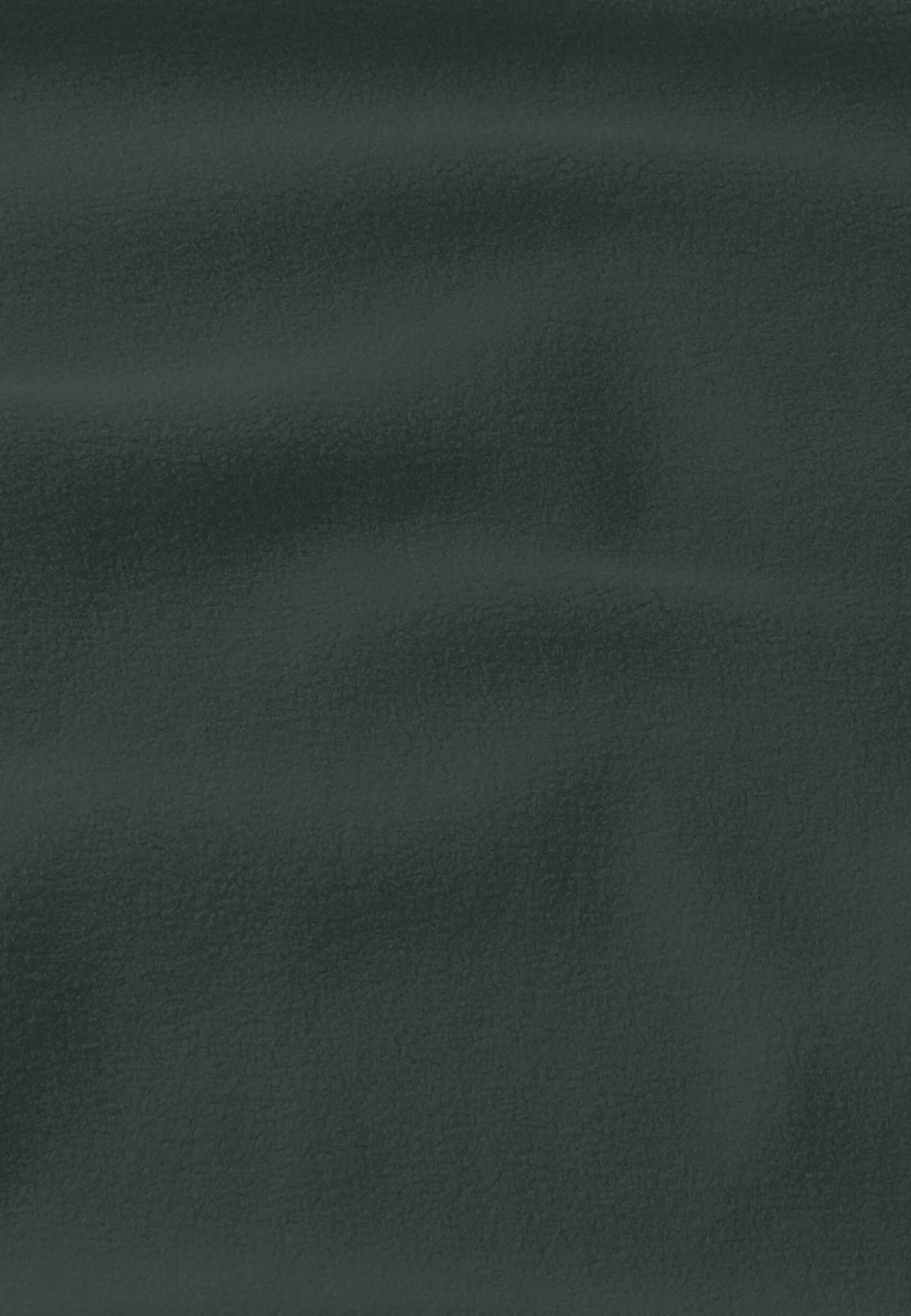 Jack Wolfskin Lifestyle|Randonnée-Baiselberg Hooded Fz M