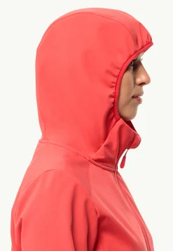 Jack Wolfskin Randonnée|Lifestyle-Bornberg Hoody W