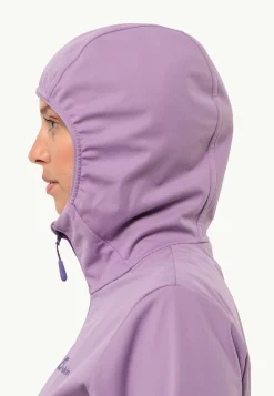 Jack Wolfskin Randonnée|Vestes Coupe-Vent-Feldberg Hoody W