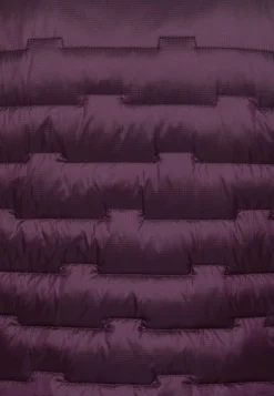 Jack Wolfskin Vestes Intermédiaires|Vestes D'Hiver-Passamani Down Hoody W Rds