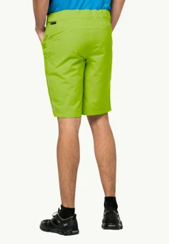 Jack Wolfskin Faire Du Vélo|Shorts-Tourer Shorts M fresh green